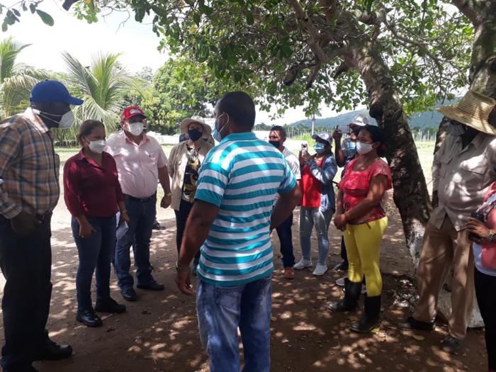 Salvador Valdés Mesa