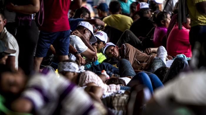 Migrantes
