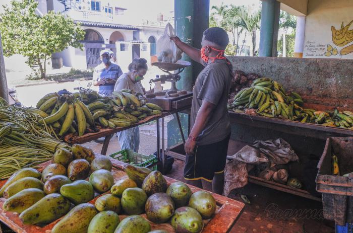 Recorrido con la ANAP por mercados agropecuarios de la ciudad arrendados por cooperativas de las provincias Artemisa y Mayabeque, Mercado 19 y 48 Playa