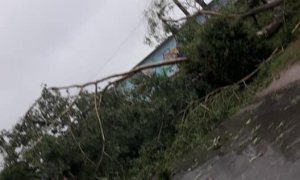 Ida por la Isla de la Juventud