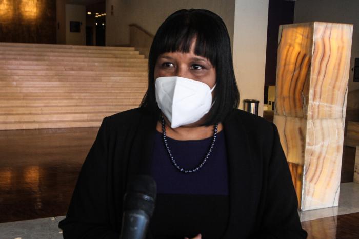Viceministra de Relaciones Exteriores, Anayansi Rodríguez Camejo.