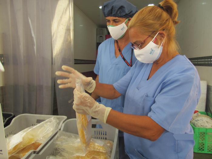 Revisión de las bolsas de plasma cuando arriban a la sede de la UEB Sueros y Hemoderivados, para ser procesadas. 