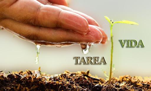 tarea vida