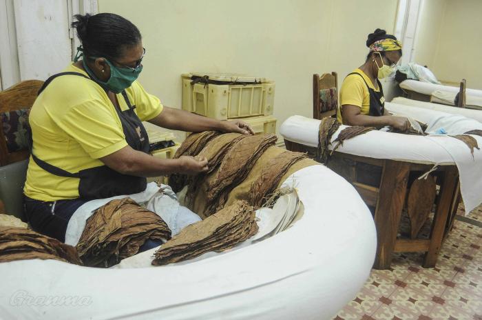 Cohiba,Empresa de tabacos torcidos :El Laguito.