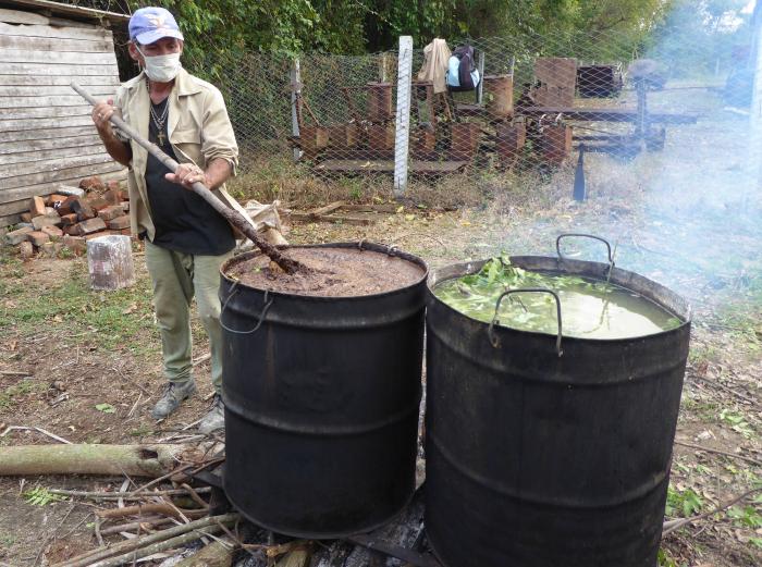 Al aire libre, con recursos propios, prepararon en la Diosdado Samón los productos naturales con los que combatieron al trips. Foto del autor