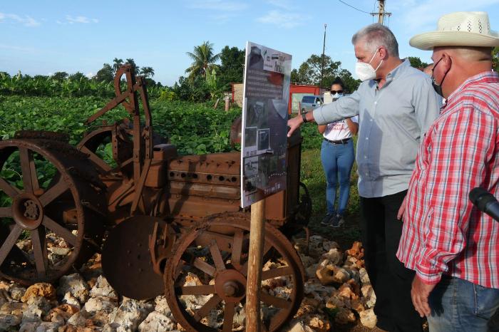 Recorre Diaz- Canel áreas agrícolas de Artemisa