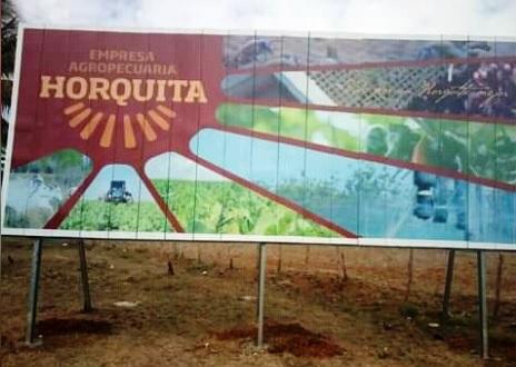 El crédito bancario está dirigido al programa de desarrollo del plátano en la Empresa Agropecuaria Horquita