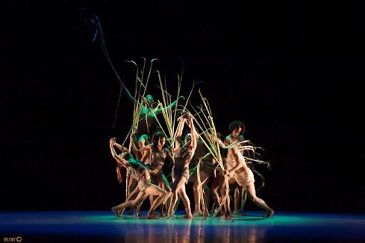 Danza Combinatoria, dirige Rosario Cárdenas