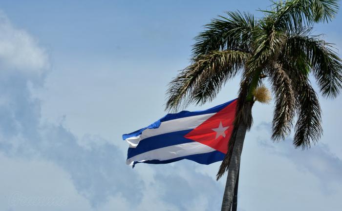 Bandera Cubana Y Palma Real Símbolos de Cubania.