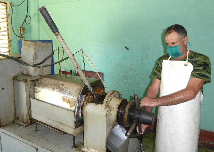 En una máquina casi artesanal de la granja Tayabito, en Camagüey, se produce aceite de ajonjolí para varias unidades productivas de esa provincia.