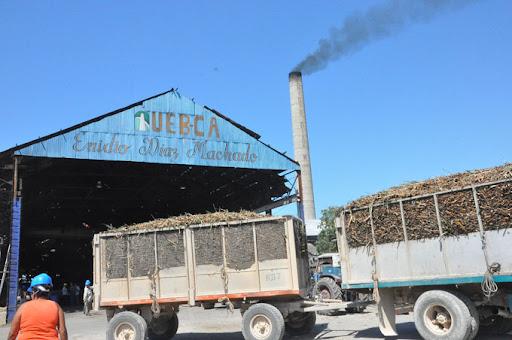 En la venidera zafra azucarera en Granma solo molerán dos centrales, el Enidio Díaz, de Campechuela y el Arquímides Colina, de Bayamo.