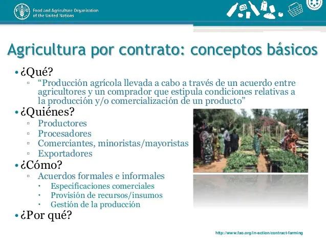 Agricultura por contrato