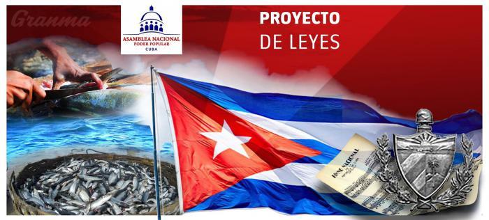 Los proyectos serán sometidos al análisis y discusión de los diputados.