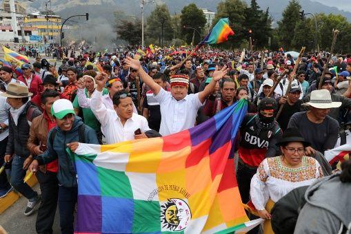  	
Movimiento indígena en 2019
