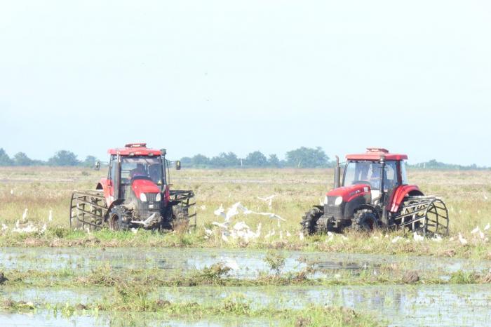 La Empresa Agroindustrial de Granos Fernando Echenique dio inicio a la campaña de siembra de frío.