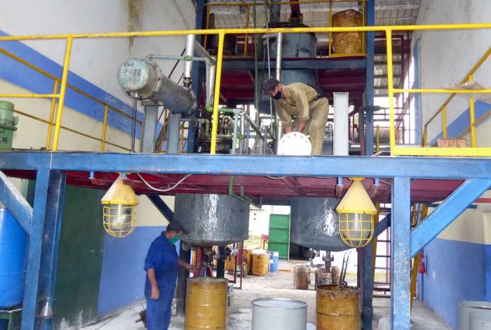 La industria pinareña es pequeña, pero eficaz, capaz de lograr producciones competitivas en el mercado internacional. 