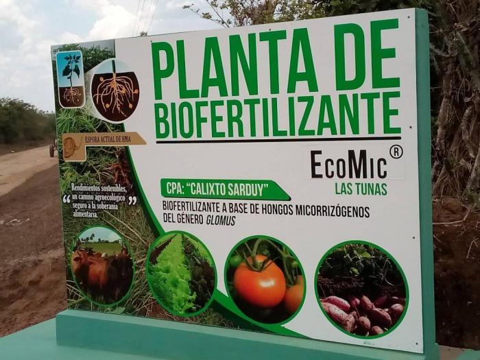 ecomic fertilizantes
