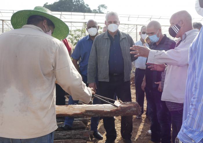 DC visita Pinar del Río