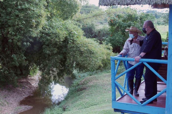 Visita gubernamental a Pinar del Río
