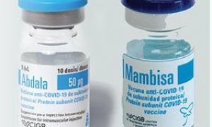 abdala mambisa