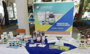 Labiofam Cienfuegos incrementa cartera de productos 