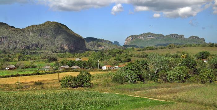 XVII Festival de Habano, Habana 2015-02-26,Visita a Viñales pinar del Río