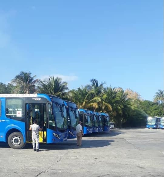 Omnibus