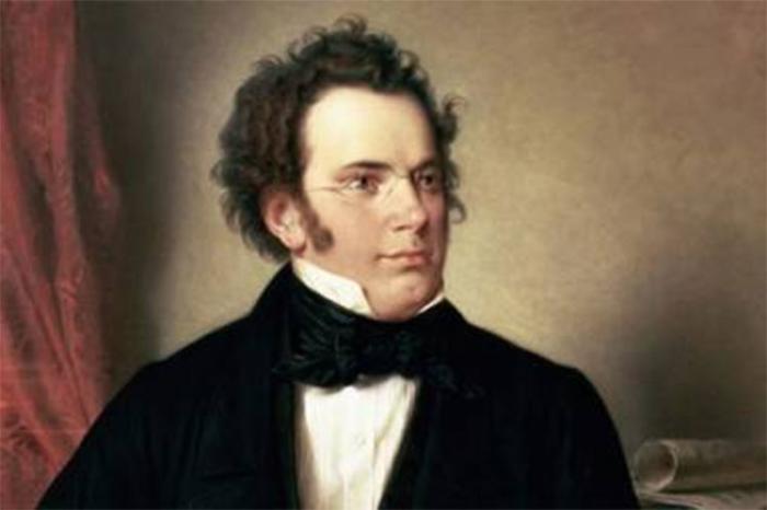 El músico Franz Schubert. 