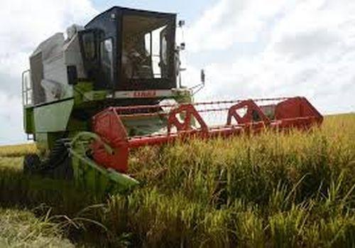 Entre las autorizadas se encuentra la Empresa Agroindustrial de Granos Sur del Jíbaro