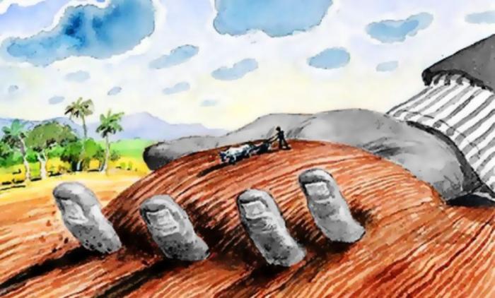 Ilustración tomada de FIAN