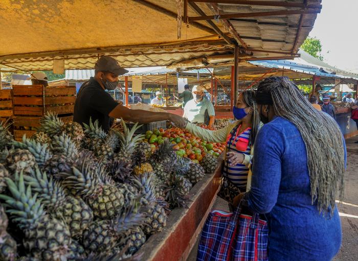 Agromercado Tulipán, perteneciente a la cadena de la EJT, Plaza de la Revolución