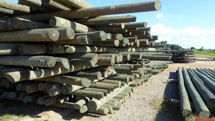 Producción de postes en Pinar del Río- Planta de impregnación de postes