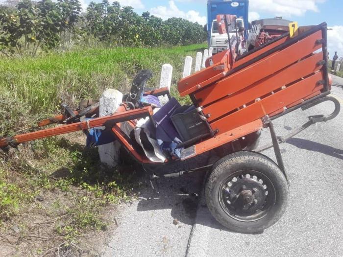 El siniestro se produjo como resultado de una colisión múltiple entre cuatro vehículos: un camión de pasajeros, dos carros estatales y un medio de tracción animal.