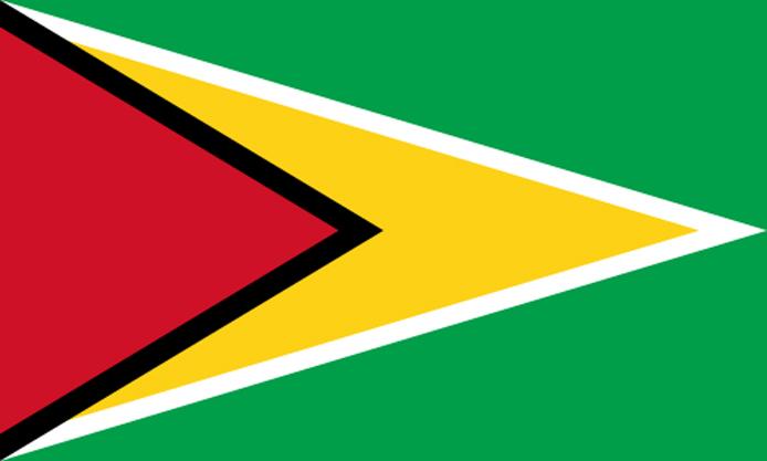 Bandera de Guyana