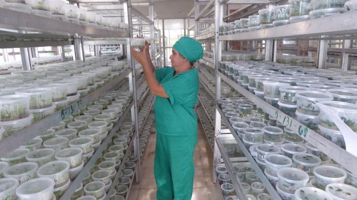 Biofábrica de Cienfuegos