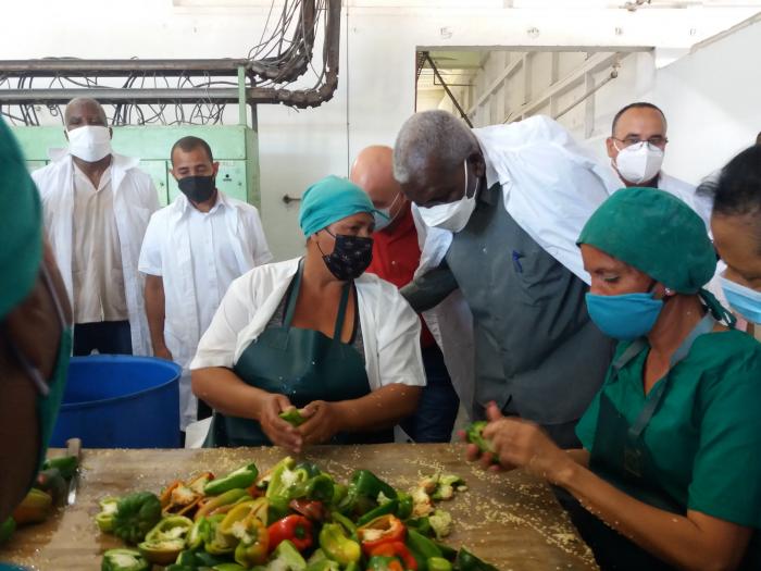 Lazo en la Isla de la Juventud