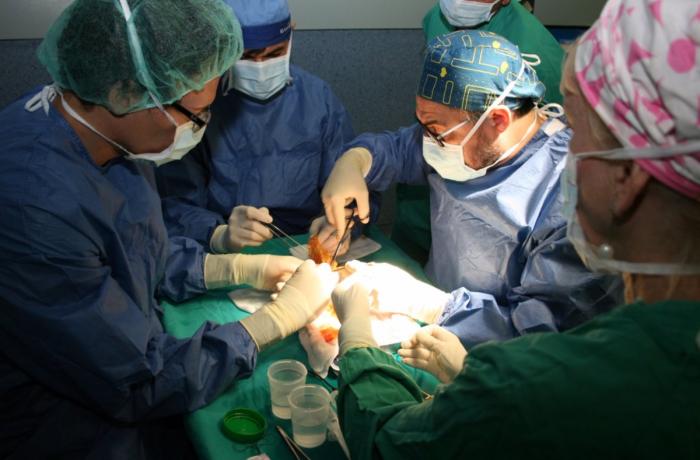 09-03-2022 Trasplante renal en el Peset
COMUNIDAD VALENCIANA ESPAÑA EUROPA VALENCIA SALUD
GVA