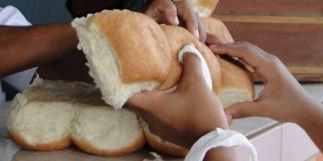 Existe garantía de materias primas para la producción y distribución normada de un pan de 80 gramos por persona en panaderías y bodegas locales.