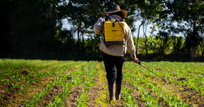 agricultura