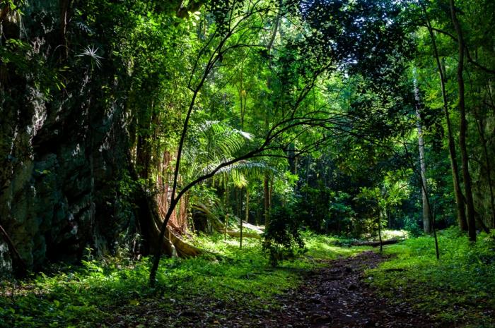 Proyectan en Camagüey geoparque nacional Sierra de Cubitas