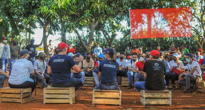 Trabajo voluntario en homenaje al 60 aniversario de la UJC y la OPJM, Pr4esidido por el Presidente de Cuba, Miguel Díaz Canell Bermúdez, finca El Valiente, sembrando Yuca y Maiz