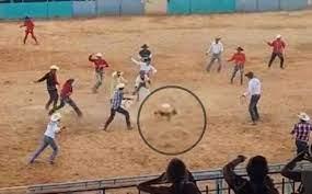 Aplican sanciones administrativas, disciplinarias y contravencionales a responsables de incidente de maltrato animal en Fiagrop 2022
