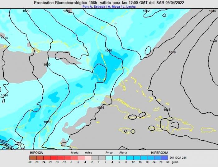 grafico