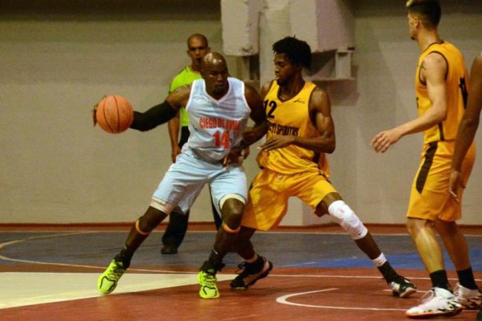 Desde hace tres años los Búfalos sueñan con el campeonato. Liga Superior de Baloncesto