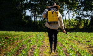 agricultura