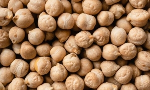 El Garbanzo: Una excelente opción de proteínas para una dieta saludable