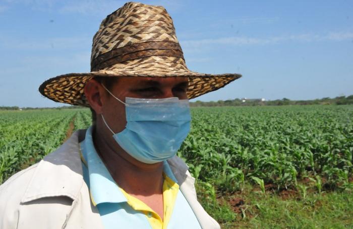 La labor de usufructuario de Ronaldo en Horquita