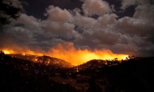 Incendio forestal
