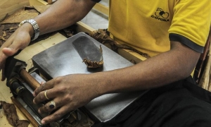 Cohiba,Empresa de tabacos torcidos :El Laguito.Javier Buides Ponce,torcedor