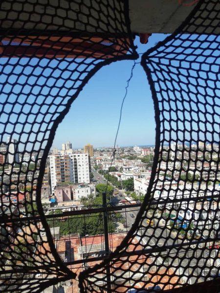 Detalle de la malla